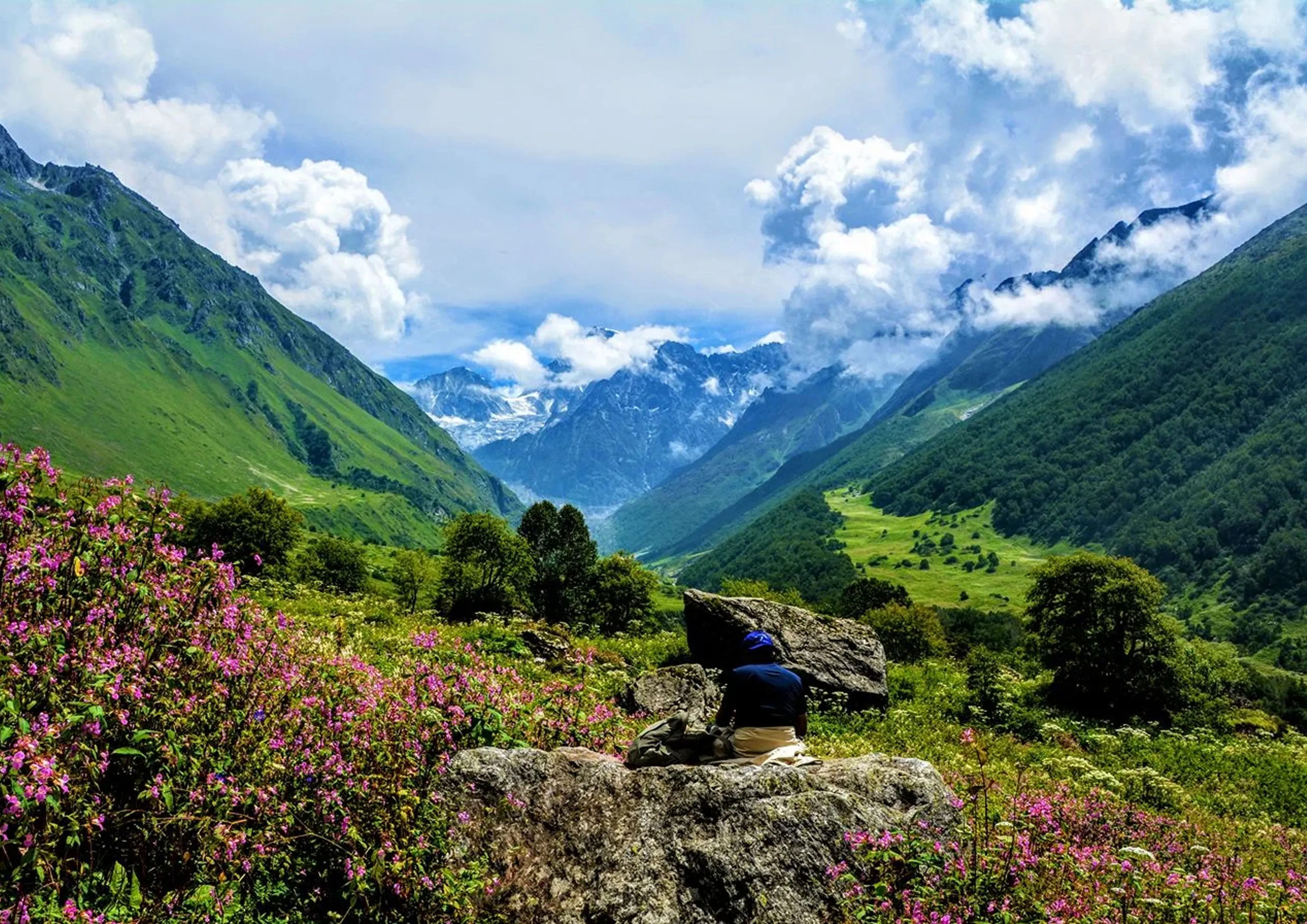 Valley of Flowers trail